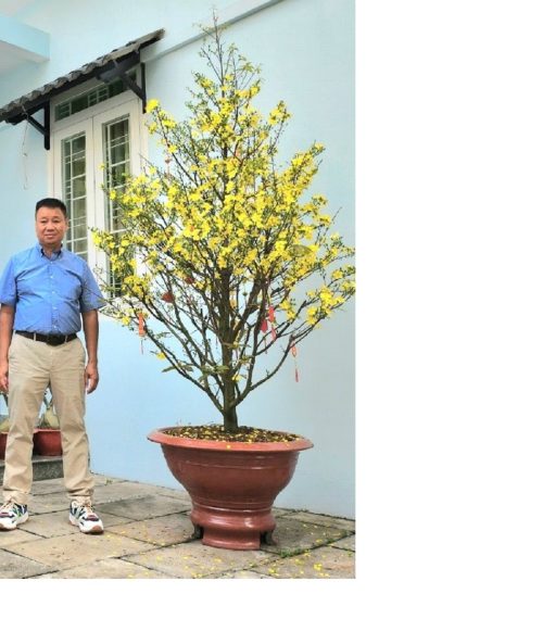 Đặng Viết Hùng