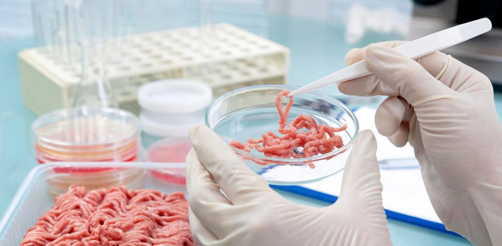 Kiểm nghiệm thịt