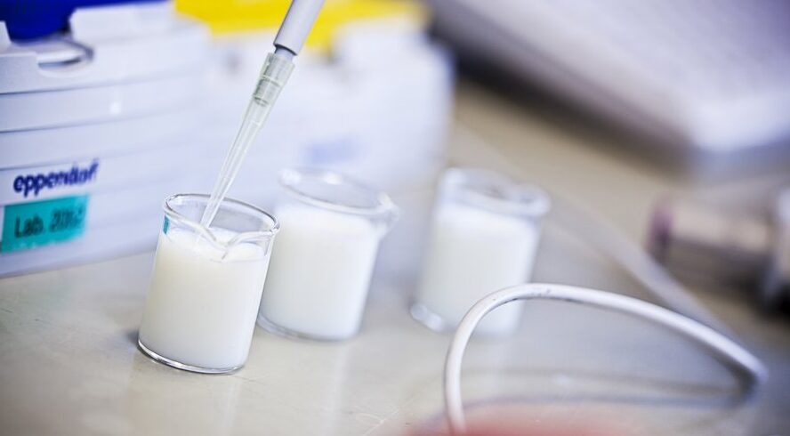 Dịch vụ kiểm nghiệm sữa - chỉ tiêu kiểm nghiệm sữa