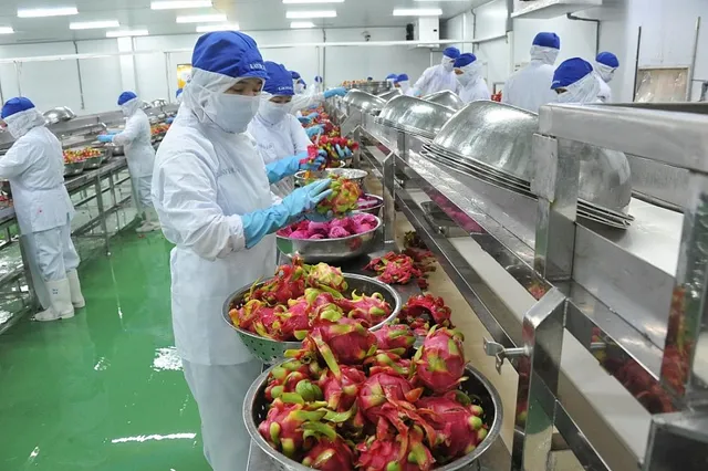 Dịch Vụ Kiểm Nghiệm Nông Sản Xuất Khẩu | Bảng Giá & Chỉ Tiêu